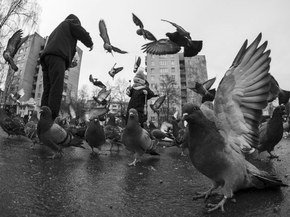 Photograph by Дмитрий Чернин