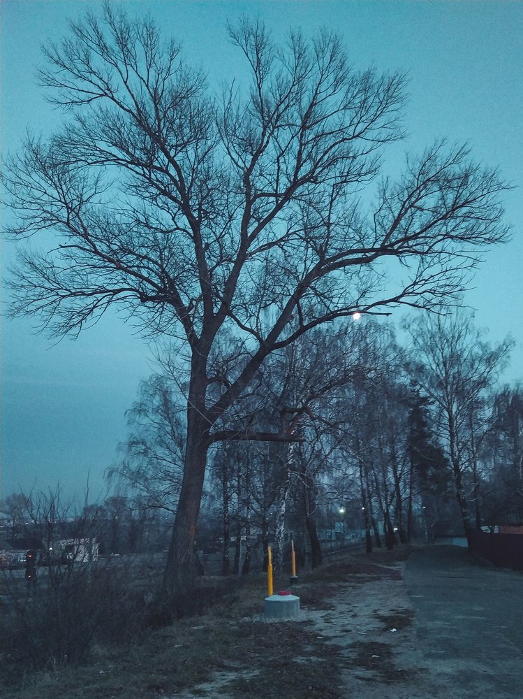 Photograph by Mikalai Stralchuk