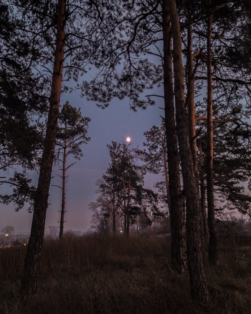 Photograph by Mikalai Stralchuk