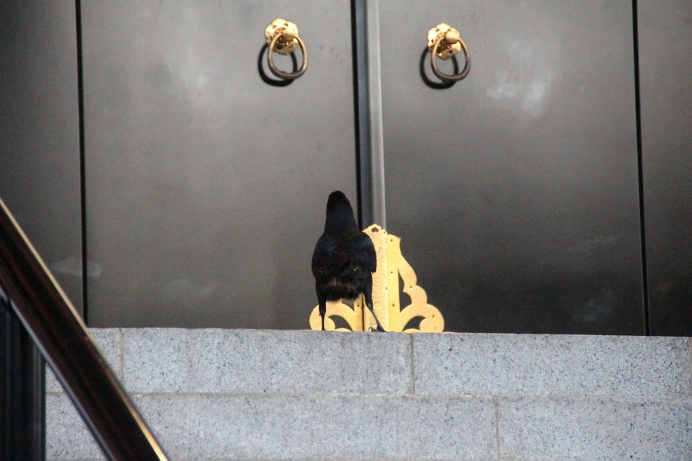 Photograph by Валентина