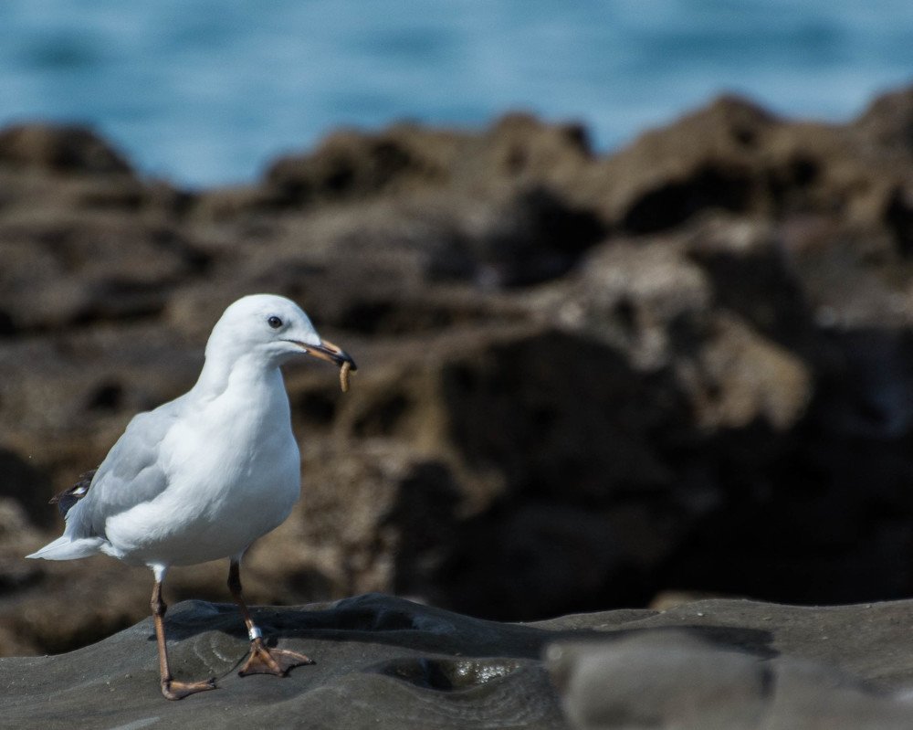 Photograph by Димитар Бирачоски