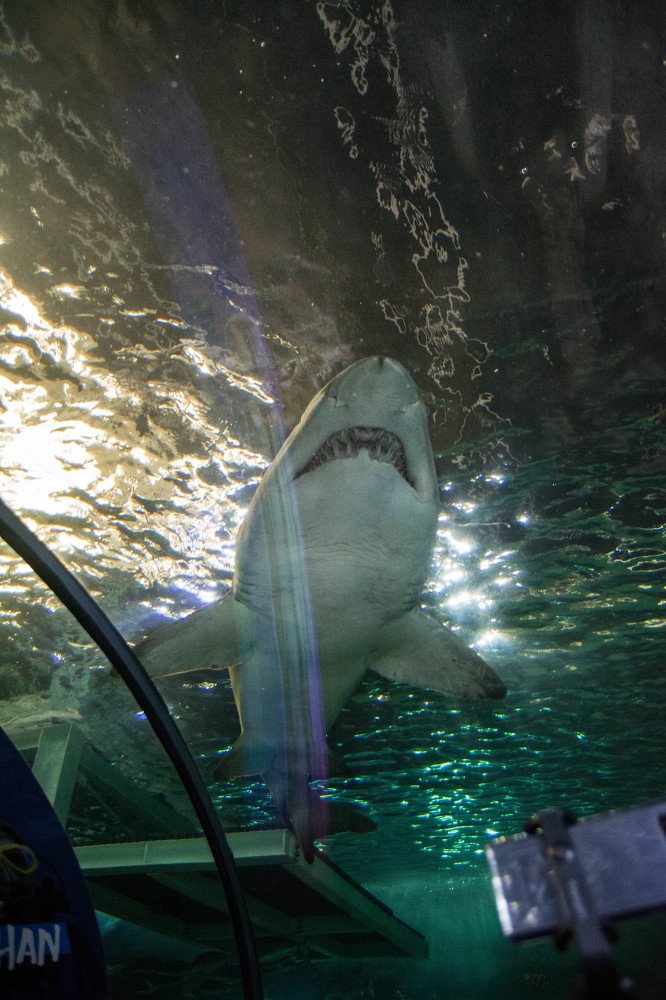 Photograph by Димитар Бирачоски