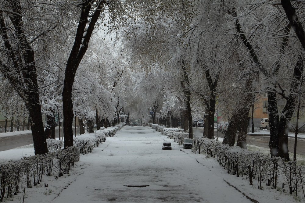 Photograph by Анатолий Васильев