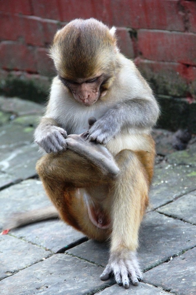 Photograph by Валентина