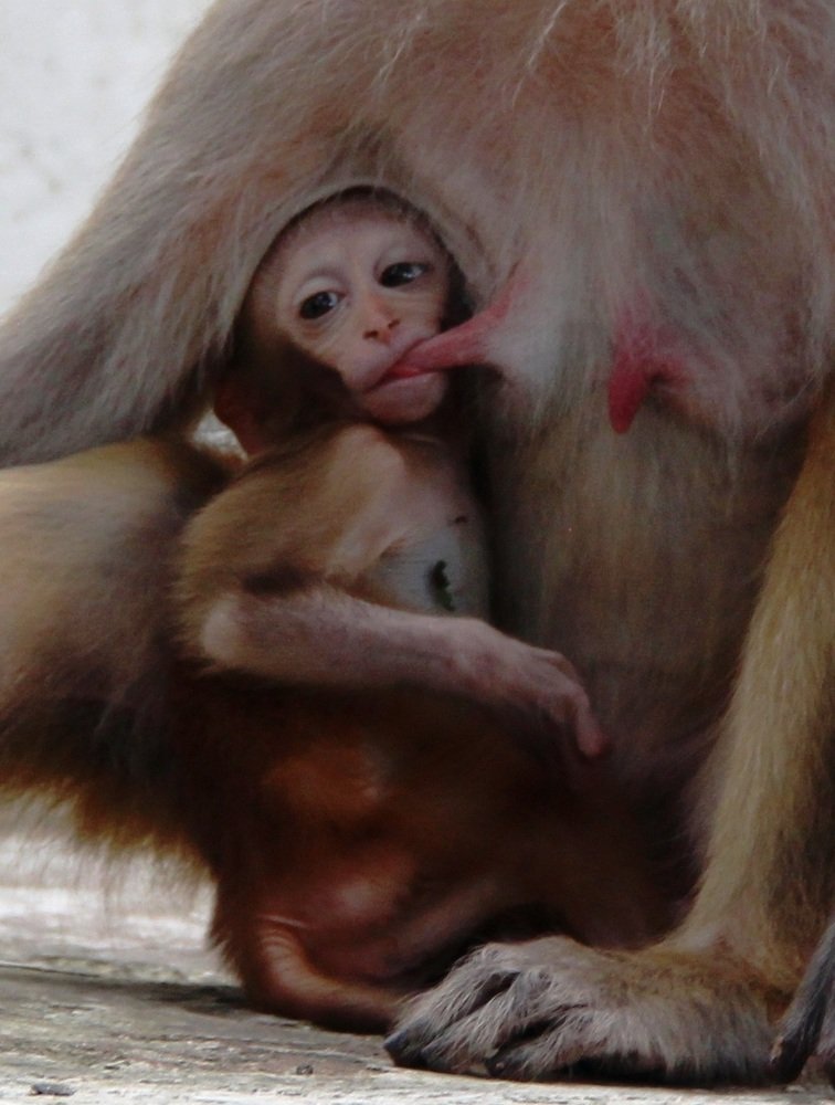 Photograph by Валентина