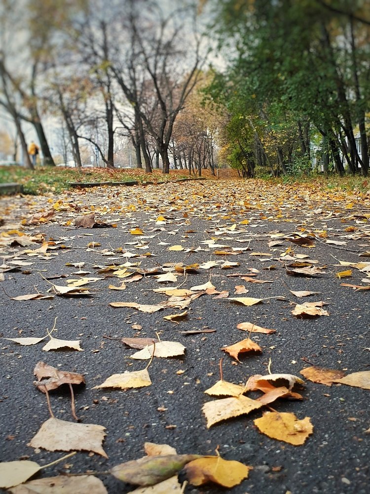 Photograph by Ольга Морозова