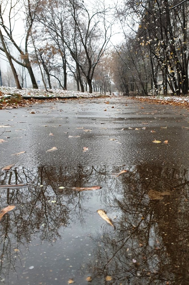 Photograph by Ольга Морозова