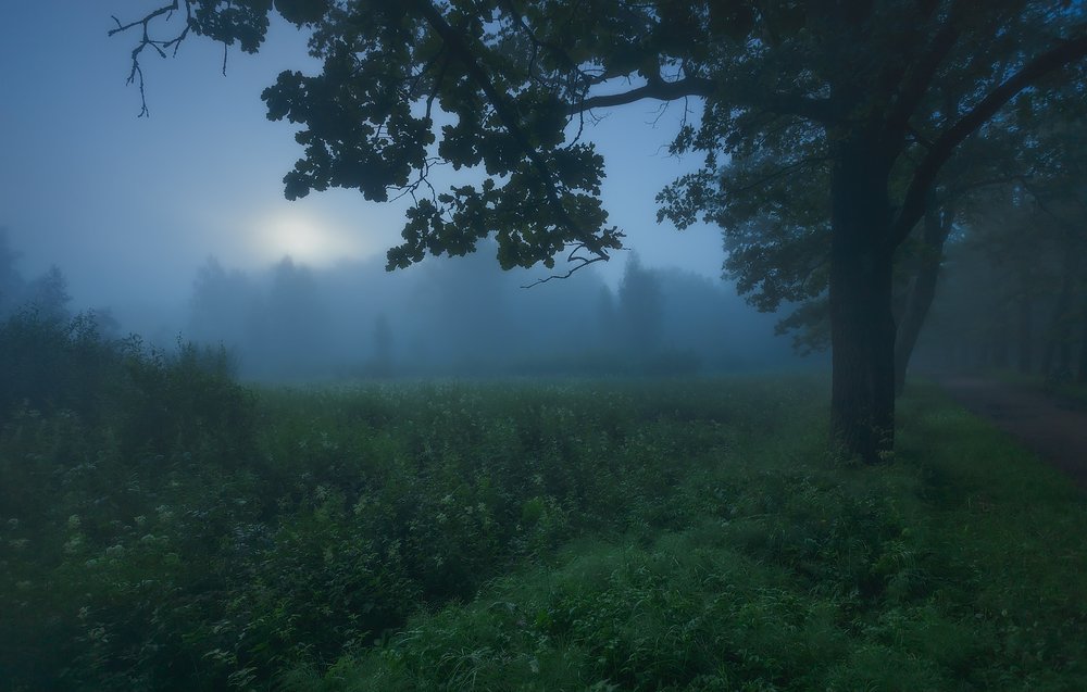 Photograph by Таня SHE (Aiya)