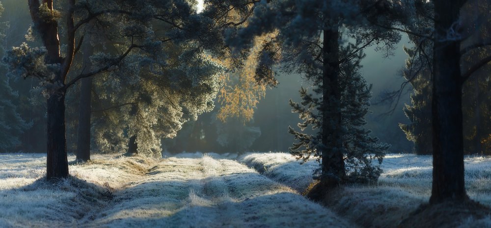 Улыбка осени;)