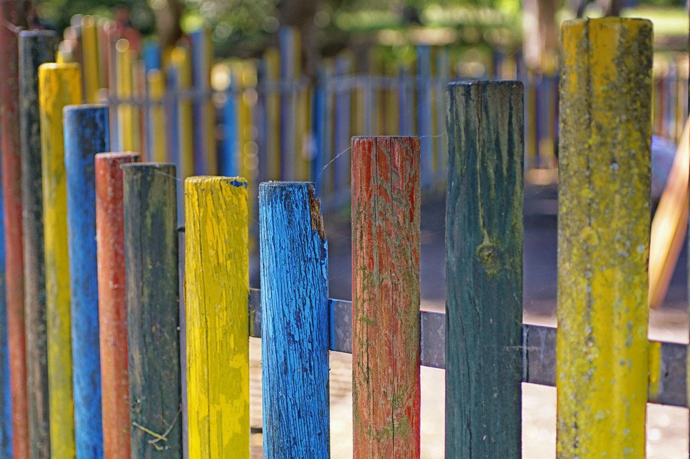 Photograph by Mário C.