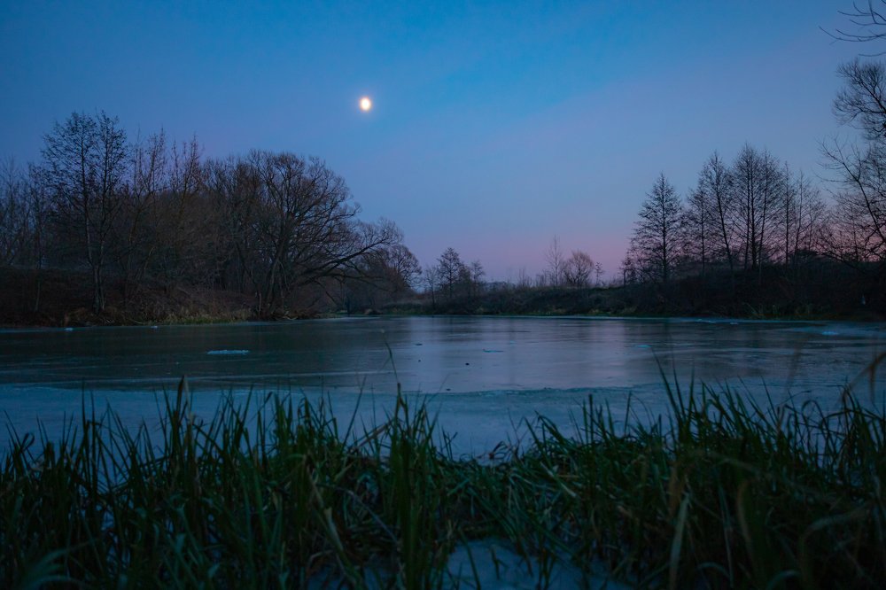 Photograph by Дмитрий Чудинин