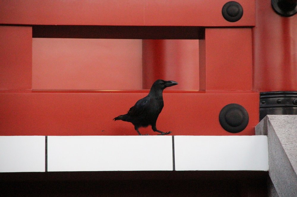 Photograph by Валентина