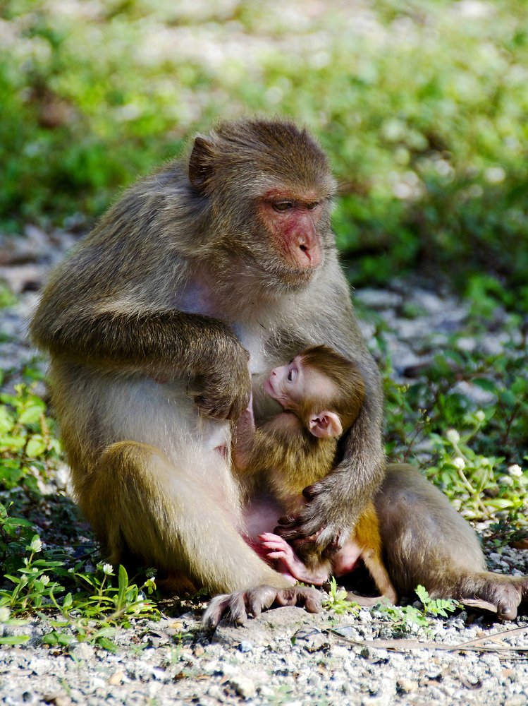 Фотография автора Татьяна Степанова