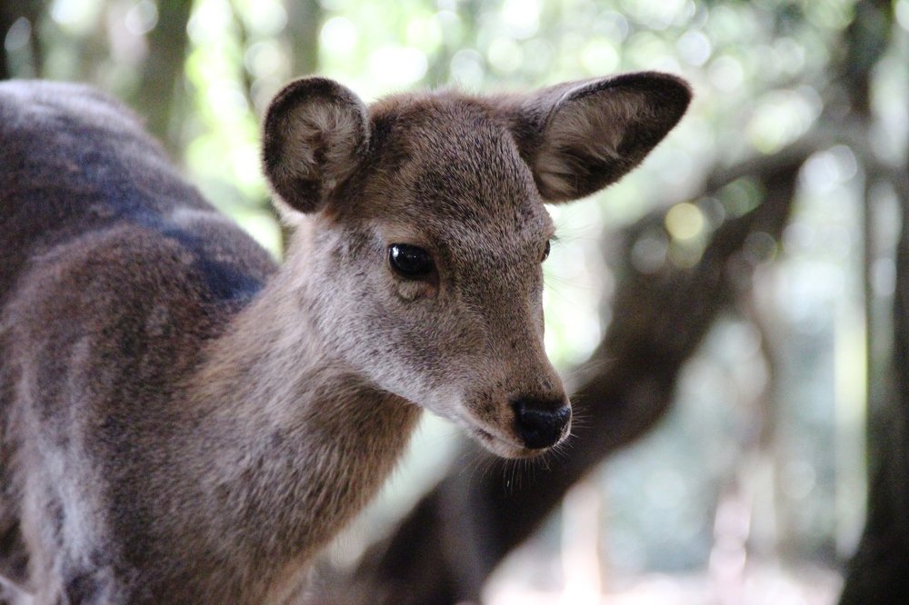 Photograph by Валентина