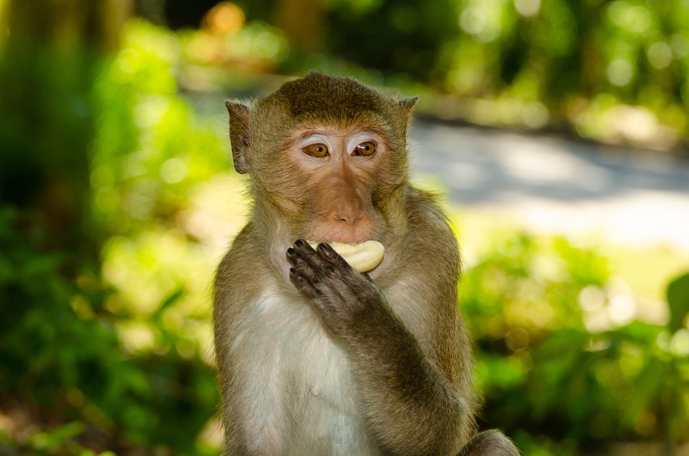 Фотография автора Татьяна Степанова