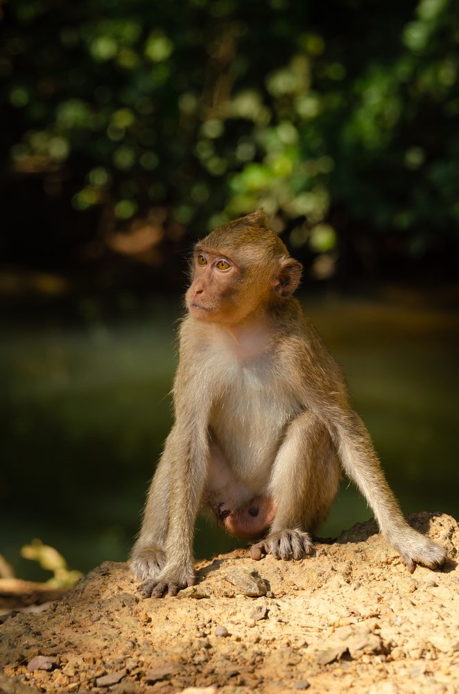Фотография автора Татьяна Степанова