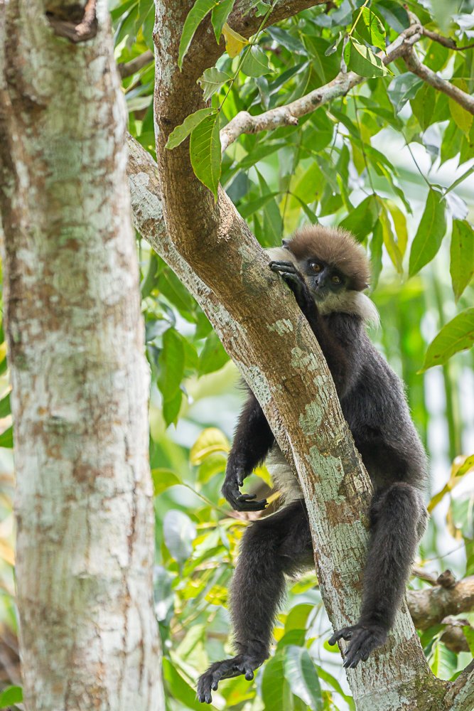 Why are you looking at me