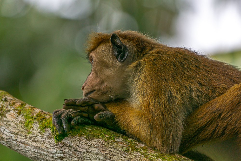 Worrying about family