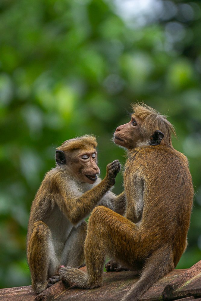 I will take care mom