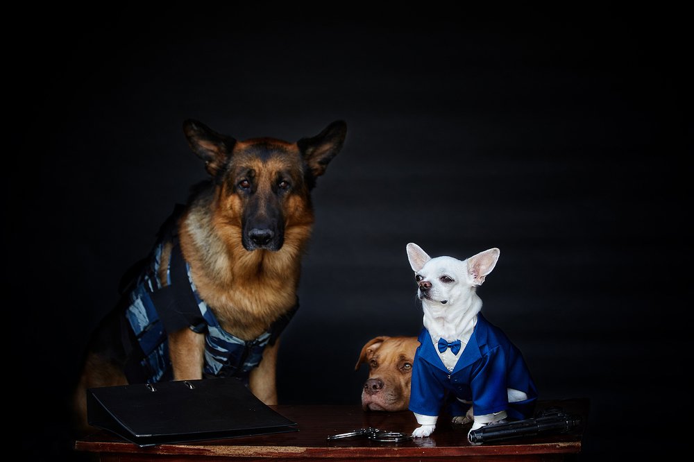 Photograph by Ирина Корх