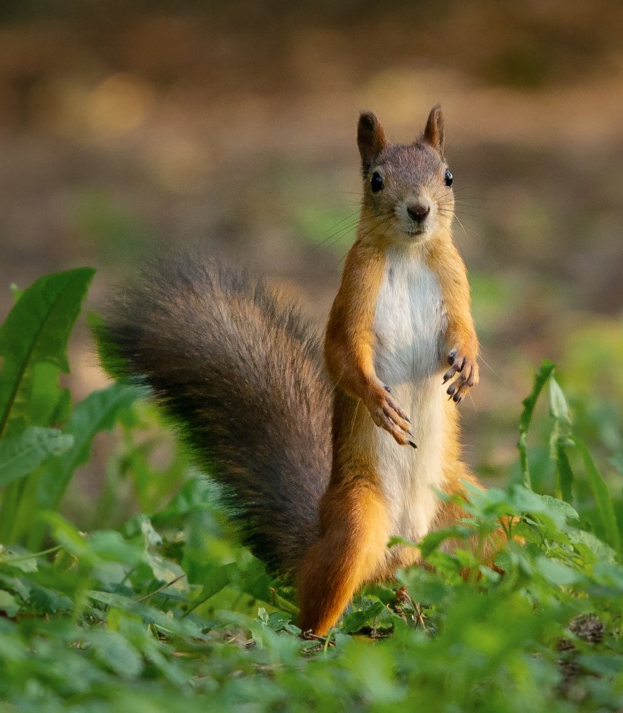 Photograph by Олег Пученков