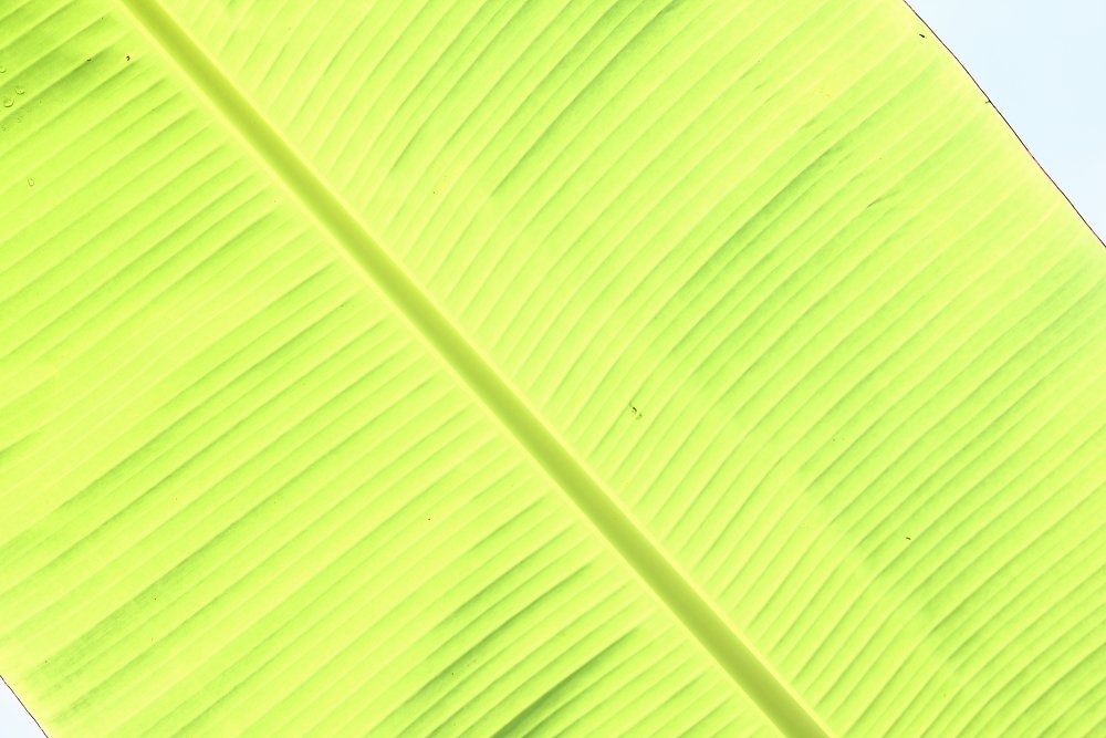 Фотография автора Deny Wahyudi