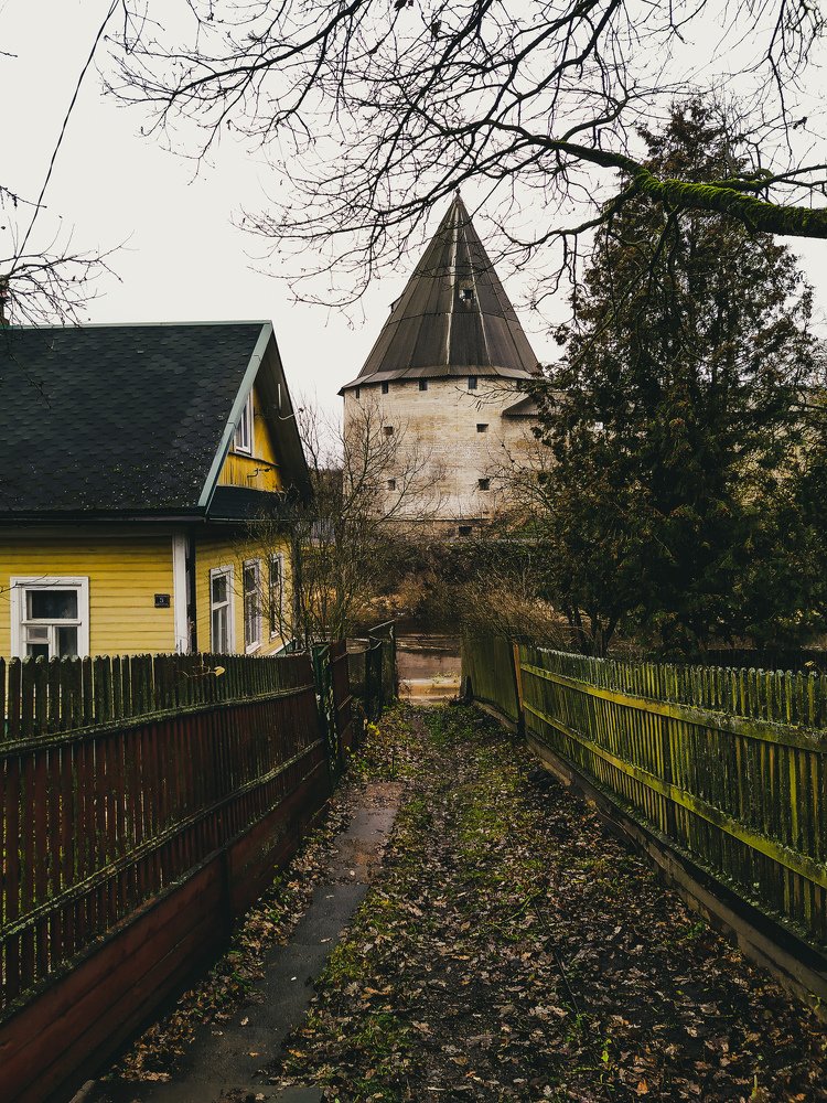 Photo #3990798