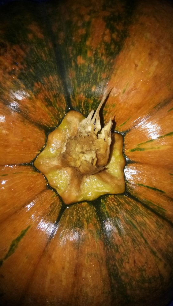 pattern on pumpkin