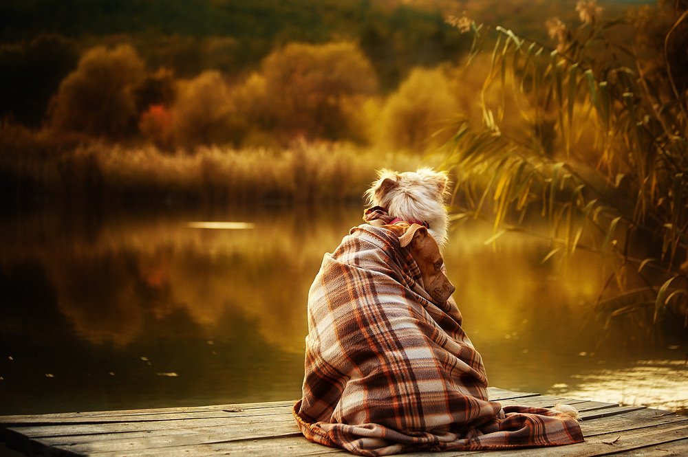 Photograph by Ирина Корх