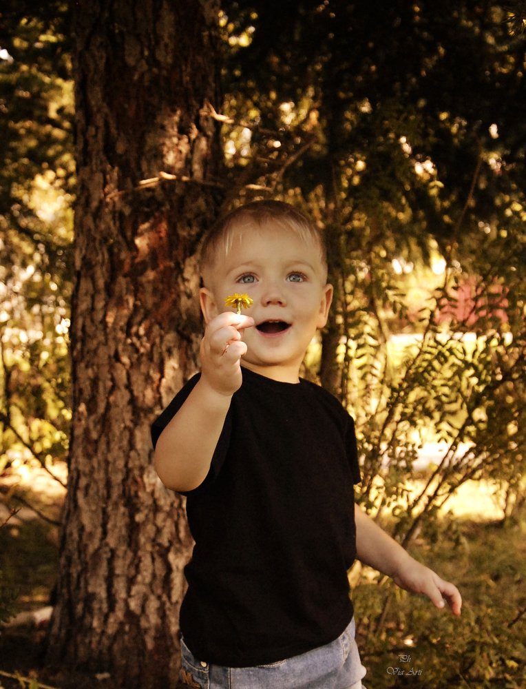 Photograph by Валентина Артамонова