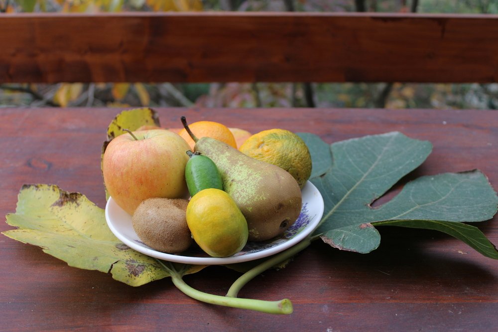 Photograph by Николай Немчанинов