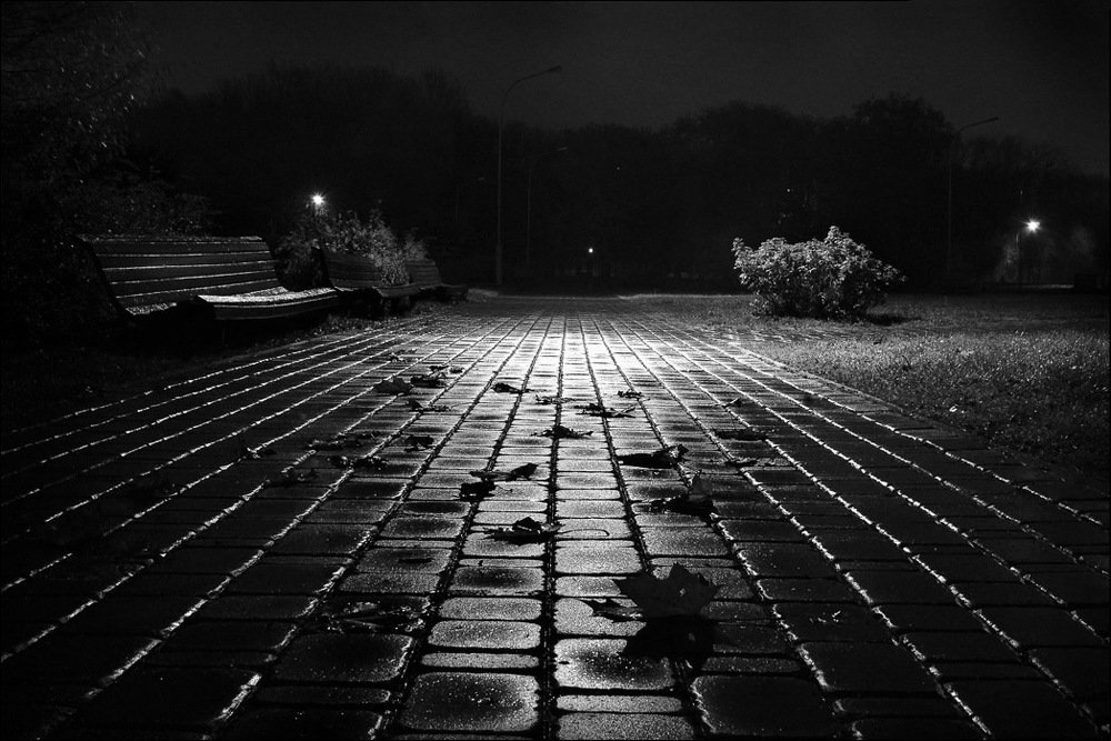 Photograph by Людмила Сиденко