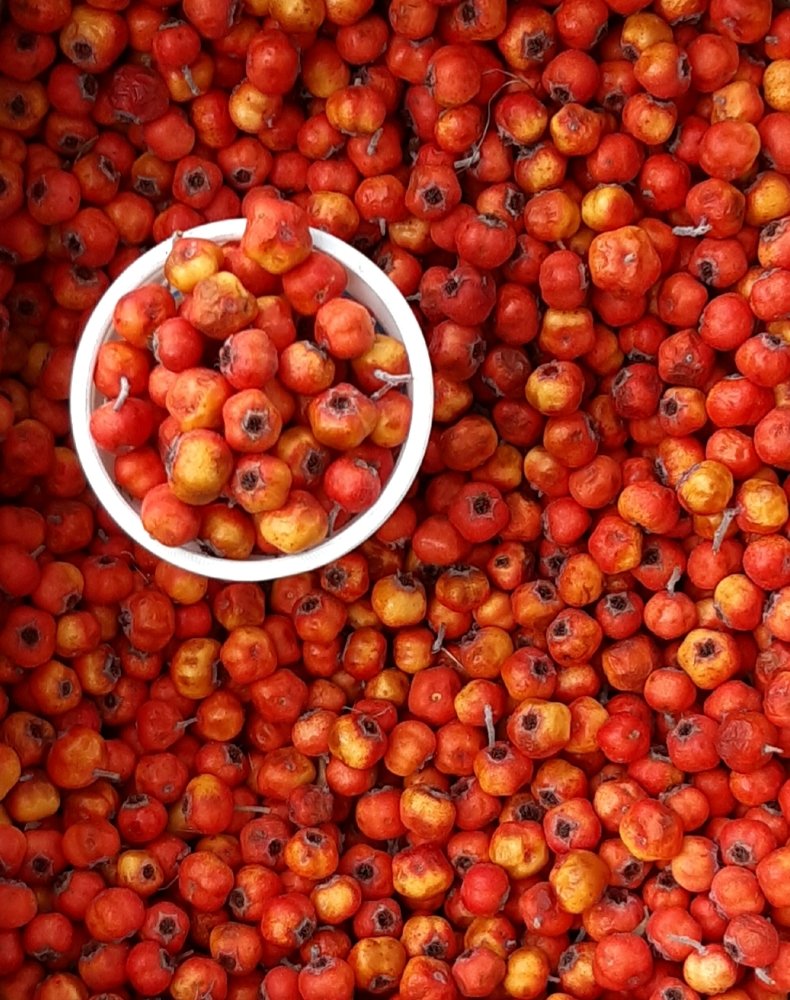 Photograph by Марина Рафаелян