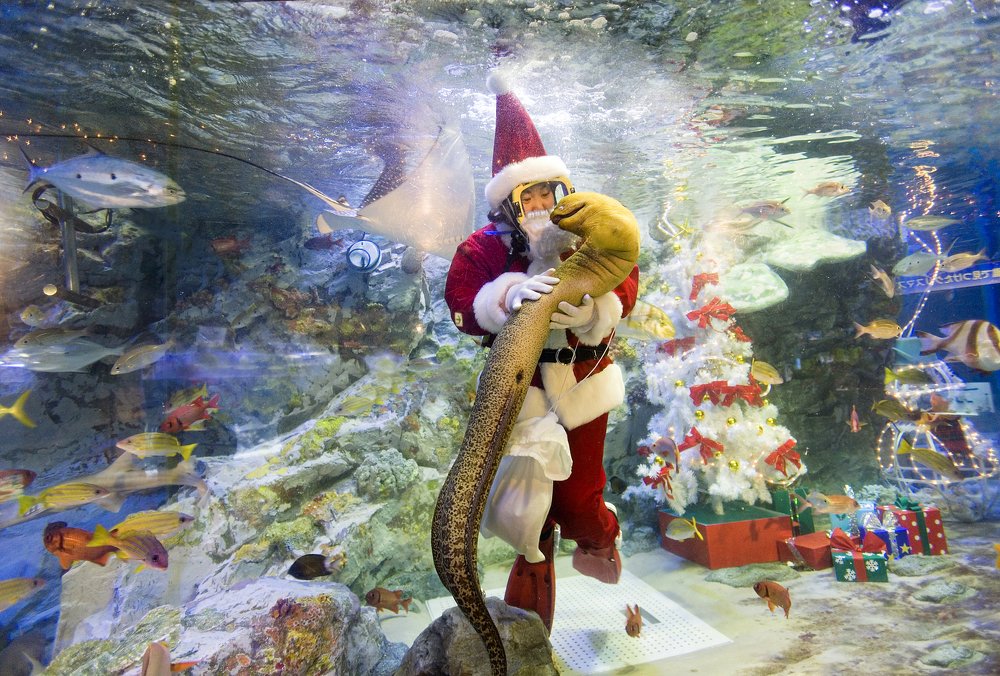 Photograph by Сергей Метелица