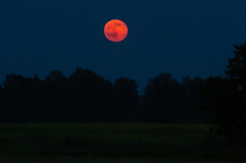 Blood Moon