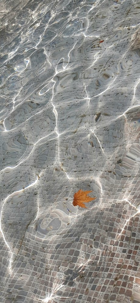 Photograph by Марина Рафаелян