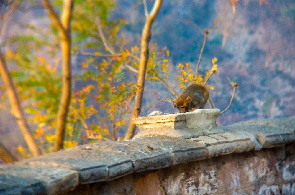 Photograph by Swapnesh Gupta