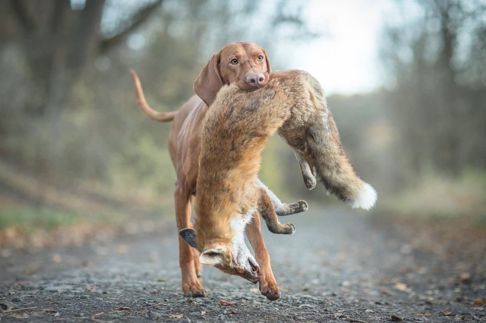 Photograph by Nikol Kopp