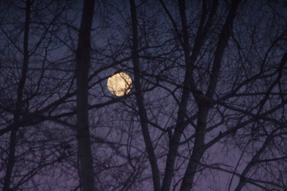 Photograph by миша