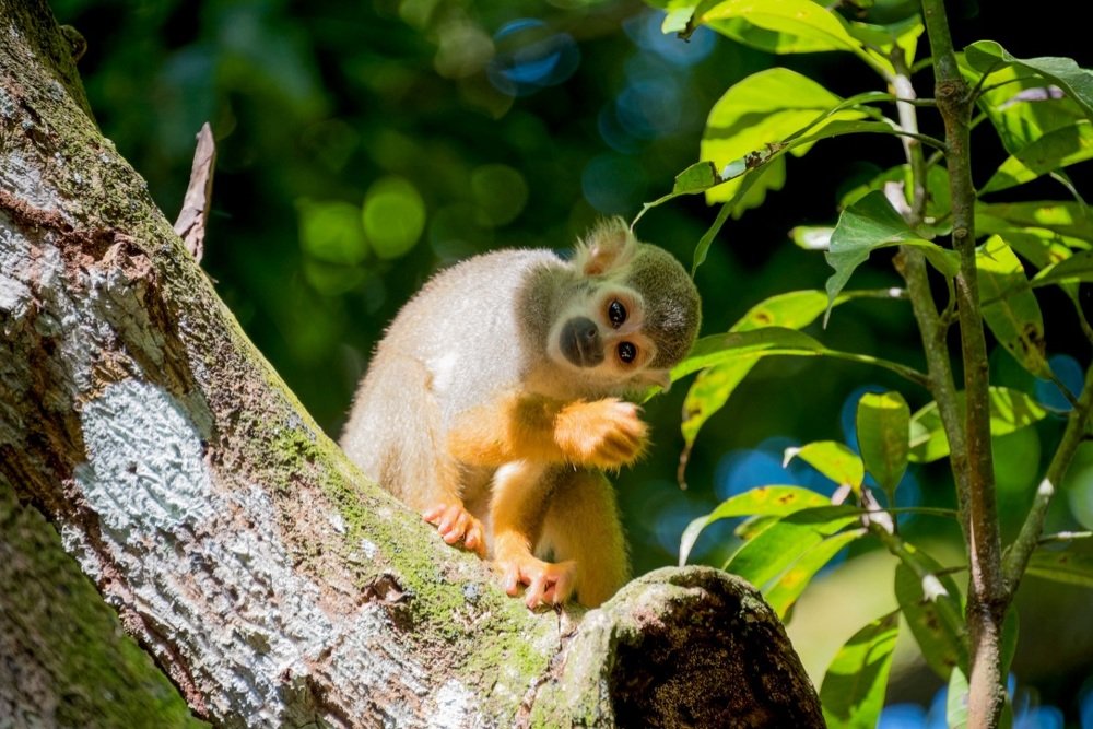 Photograph by Кадырова Марина