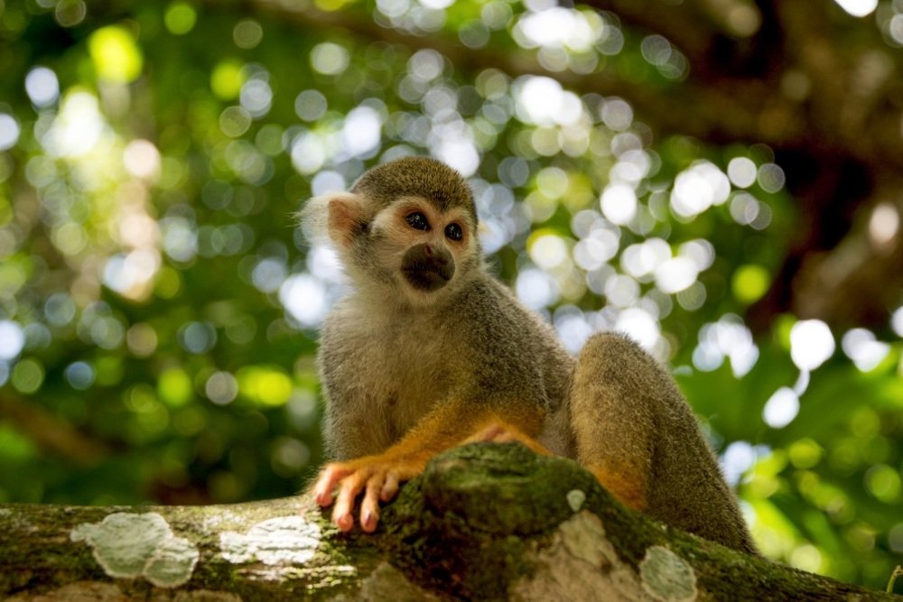 Photograph by Кадырова Марина