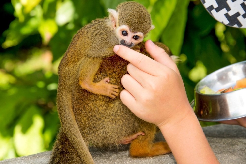 Photograph by Кадырова Марина