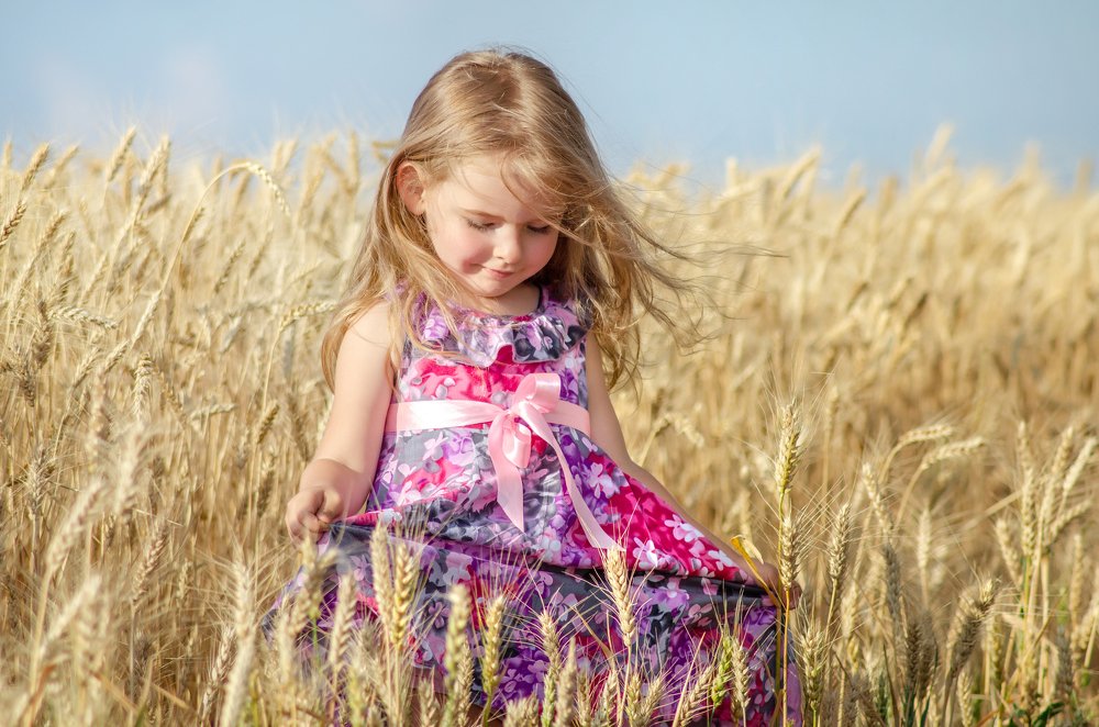 Вырос в поле колосок