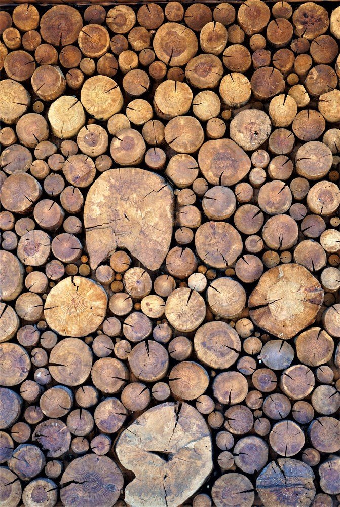 Photograph by Arkady Sandler