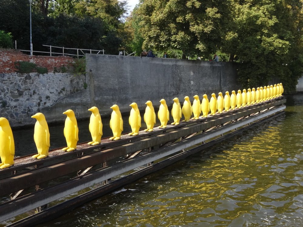 Photograph by Arkady Sandler