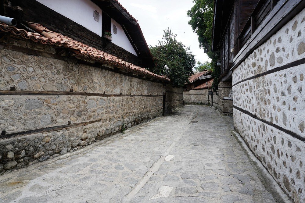 Photograph by Arkady Sandler