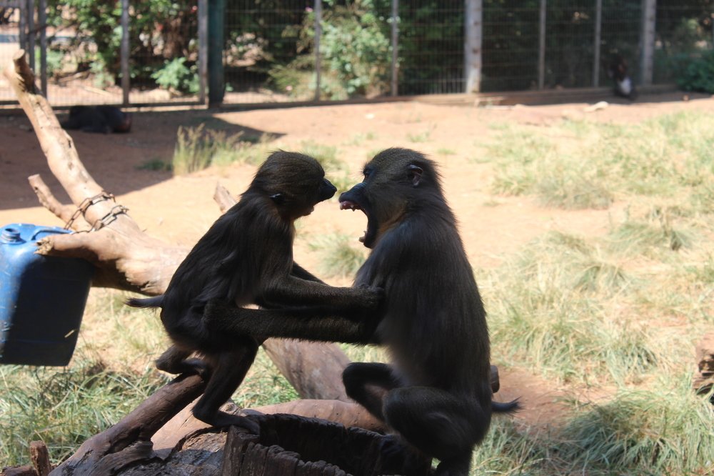 Фотография автора Богдан Кандауров