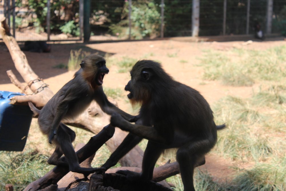 Фотография автора Богдан Кандауров