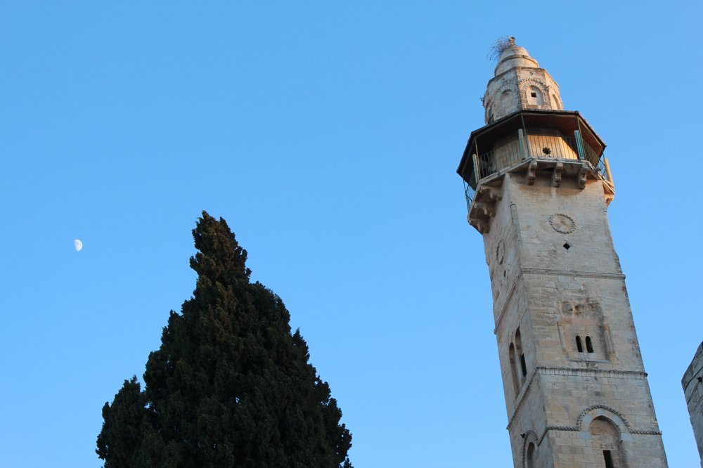 Фотография автора Богдан Кандауров