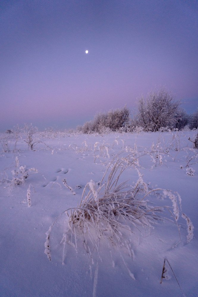 Photograph by Евгений Мерсон